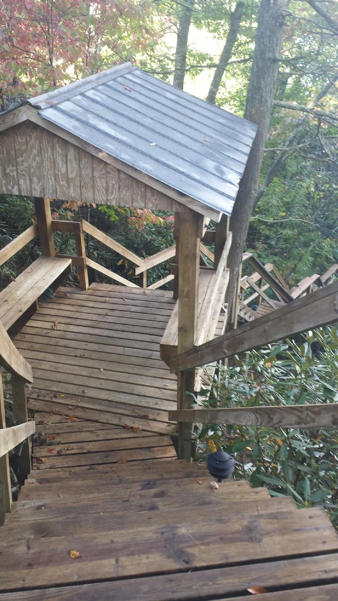 Metal roofed shelter over wooden steps on a wooded walkway in Little Rock